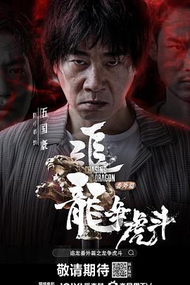 追龙番外篇之龙争虎斗(粤语版)