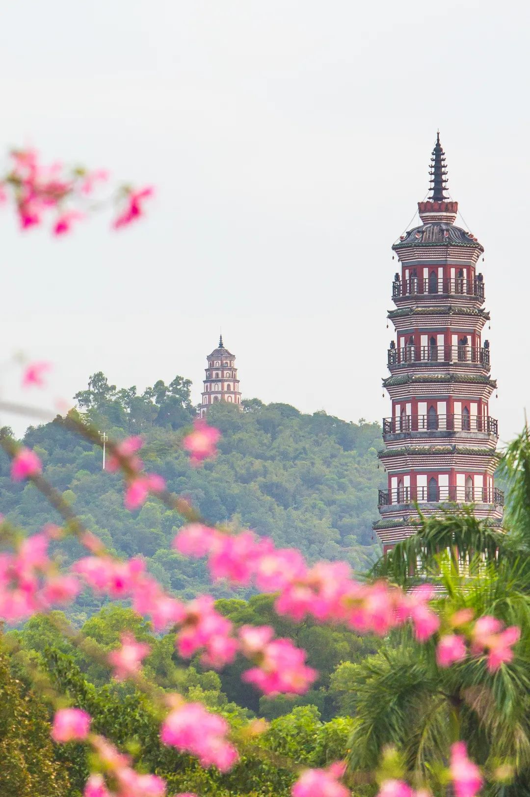 顺峰山公园的美景图片