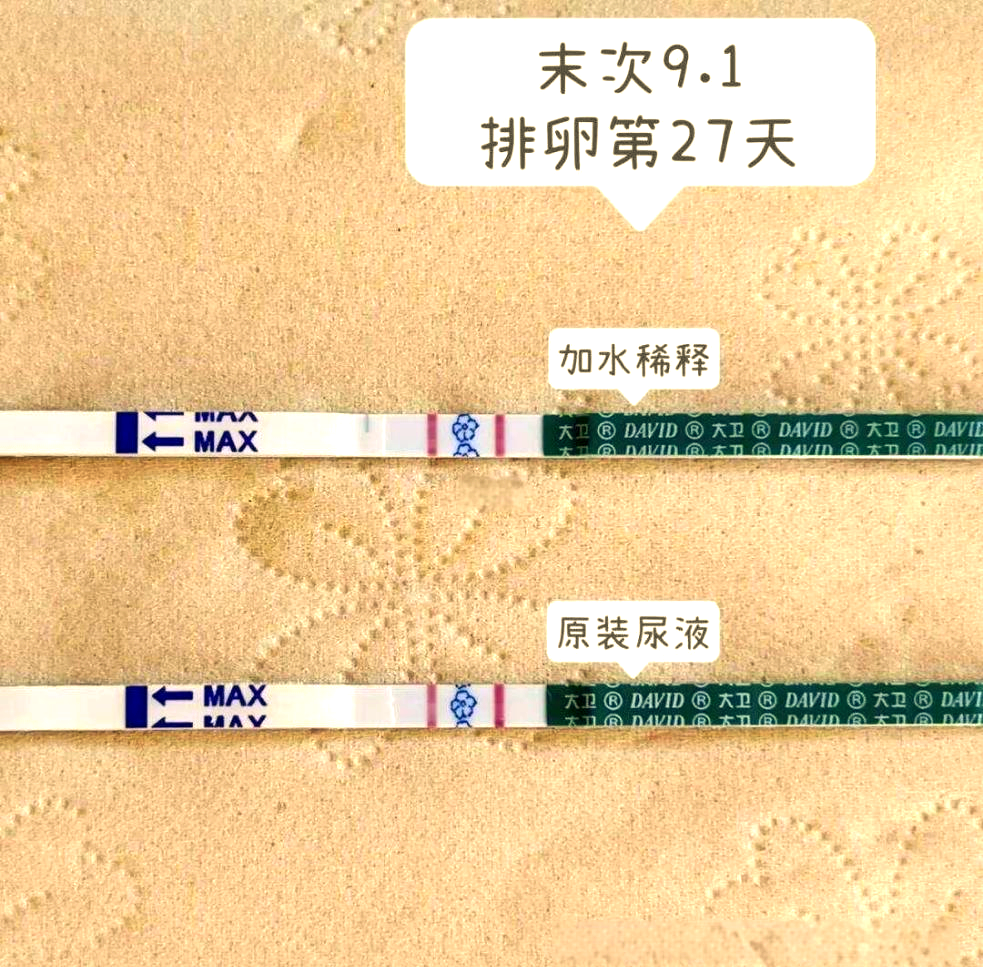 大卫早早孕试纸结果解读指南,你掌握了吗?