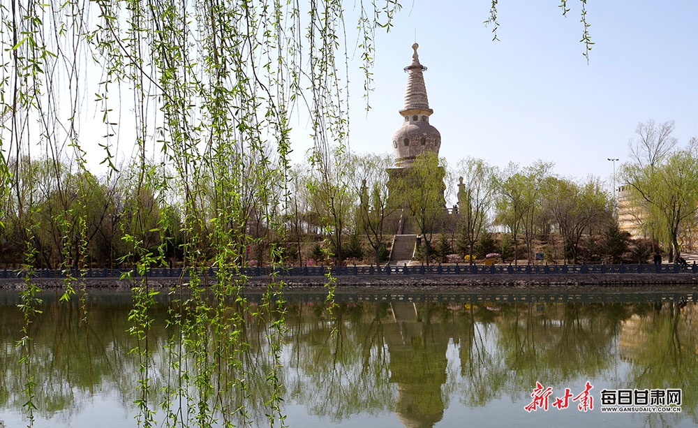 山丹南湖公园的湖光与花色