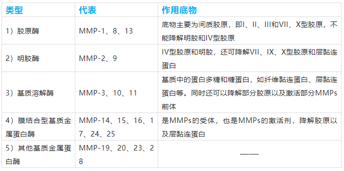 肿瘤转移"钻头"—基质金属蛋白酶(mmps)