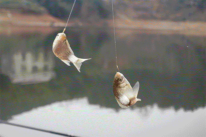 露营,钓鱼,冲浪,让年轻人"破产"的新三宠,到底有多烧钱?