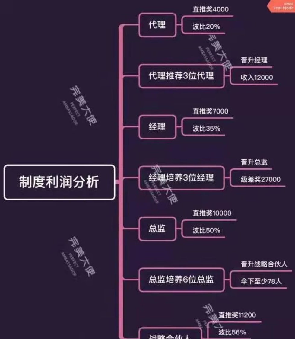 碧斯诺兰欲卷土重来?完美大使优梨美牙模式被指涉嫌传销