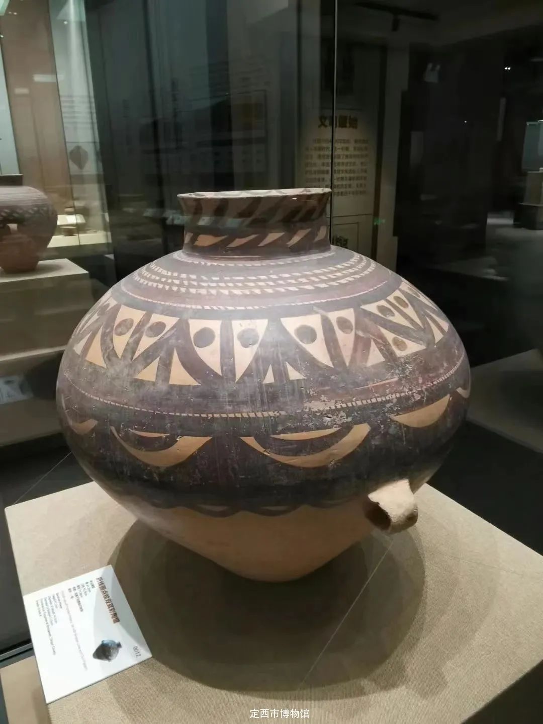 定西市博物馆2024年春节假期开放公告