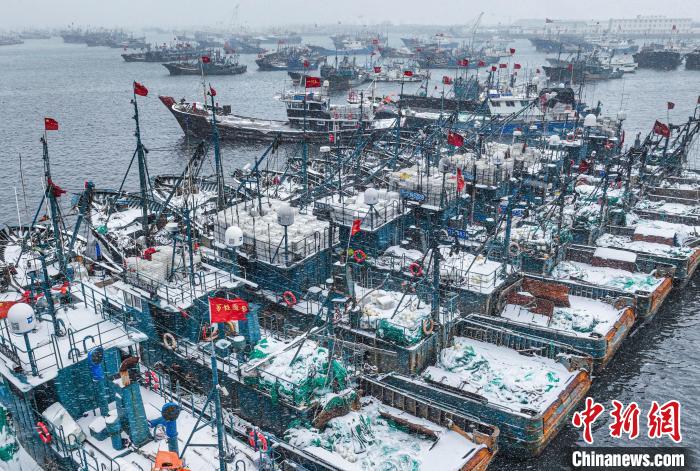 山东荣成:渔船靠港躲避风雪