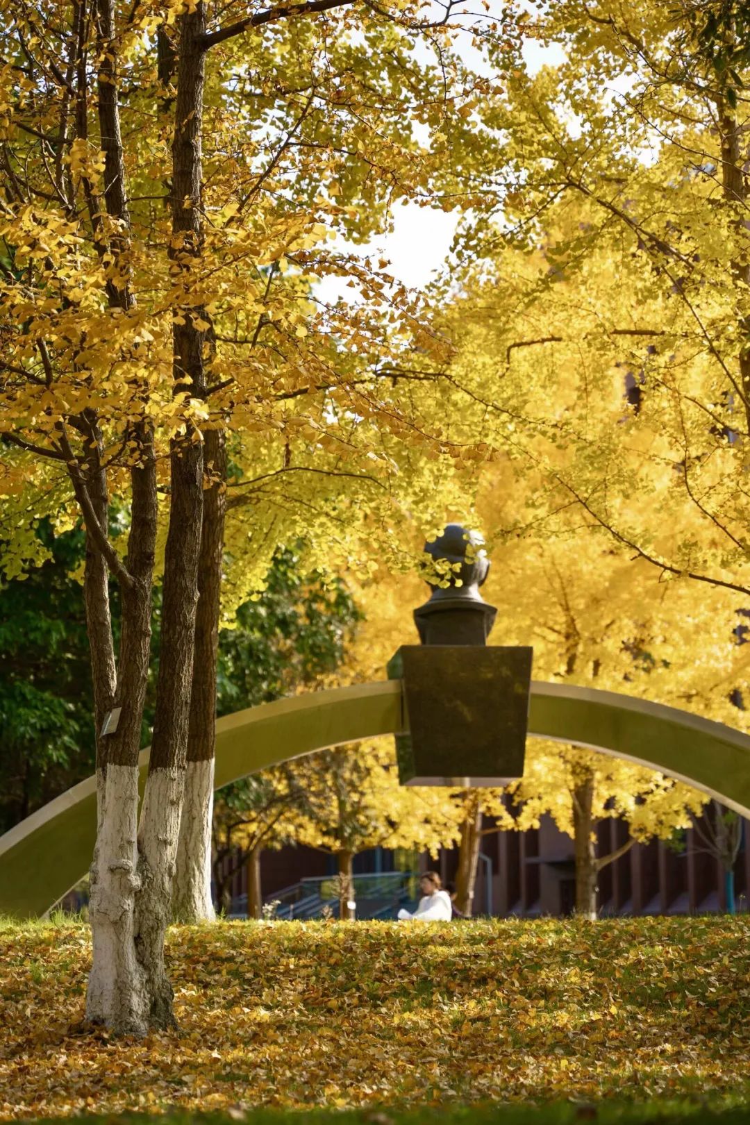 竢实扬华 !西南交通大学128岁生日快乐 !