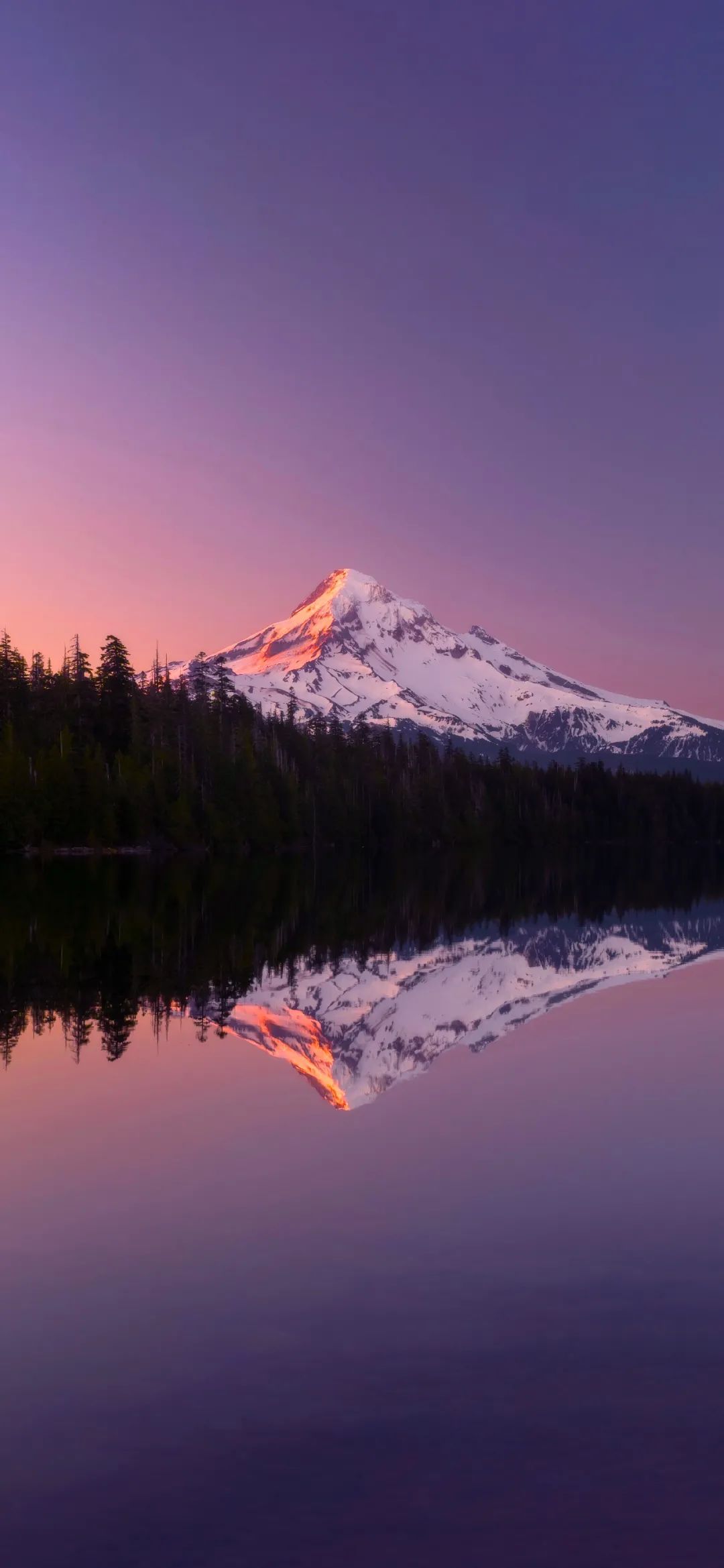 1080_2338竖版 竖屏