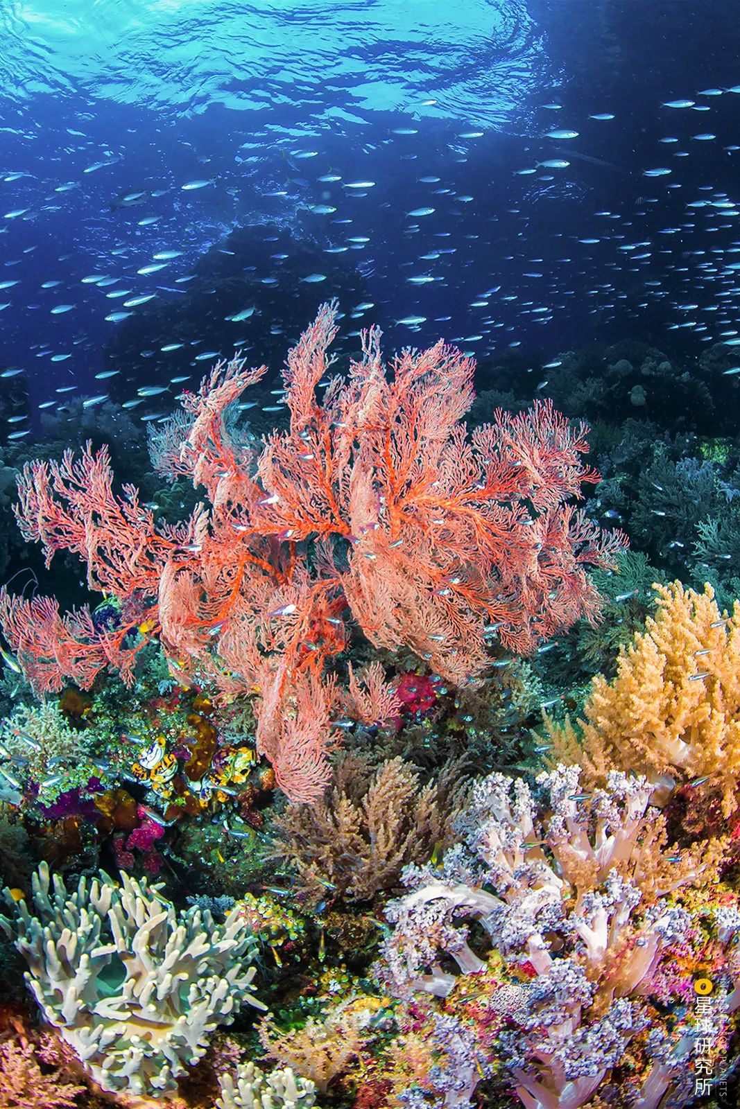 中国:万岛之国!