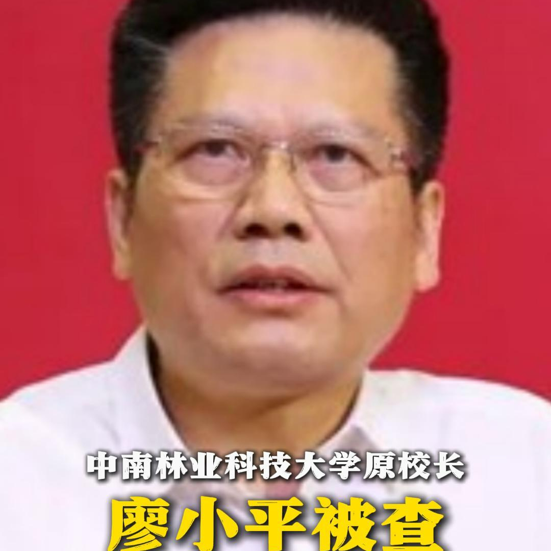 中南林业科技大学原校长廖小平被查
