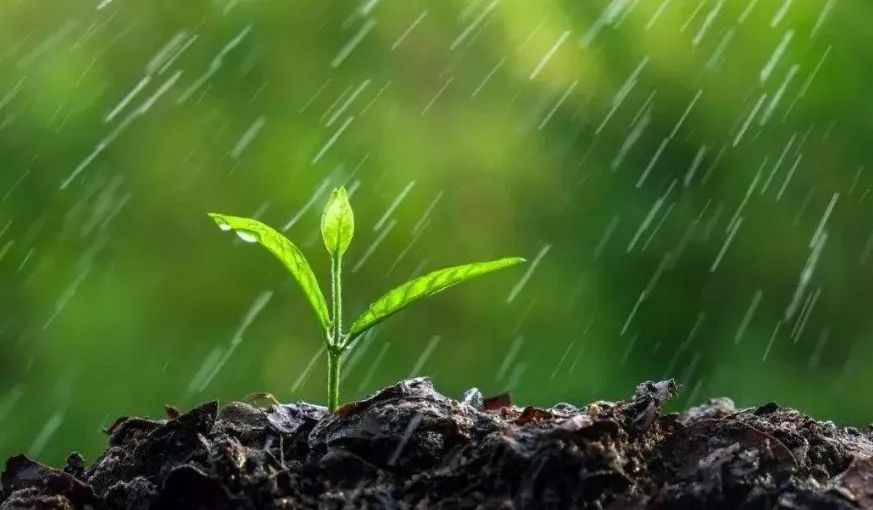 临颍天气:雨水,大风,降温上线,请注意防范!