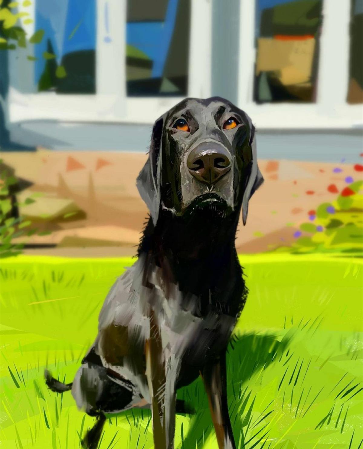 给狗狗起名字动漫_狗狗起名动漫字母大全