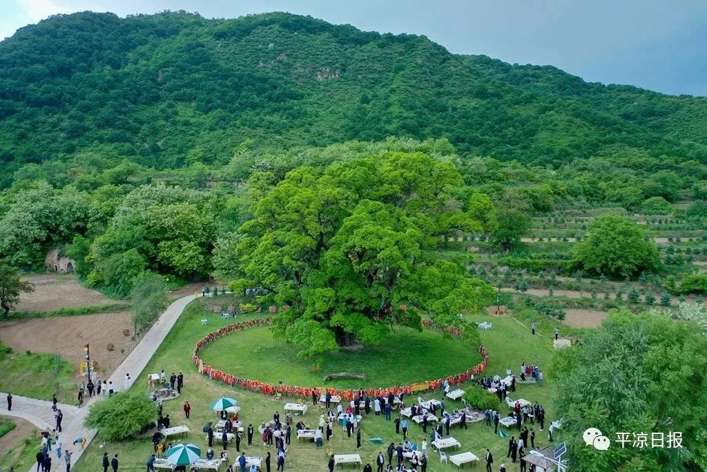 寺,朝那湫—静宁县 35°苹果谷—华亭市莲花台—泾川县泾明乡白家村