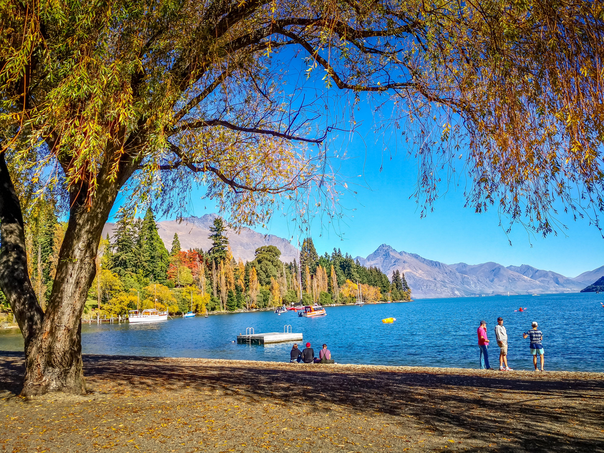 全球最美的秋色在这里,新西兰色彩的盛宴,赏秋路线攻略