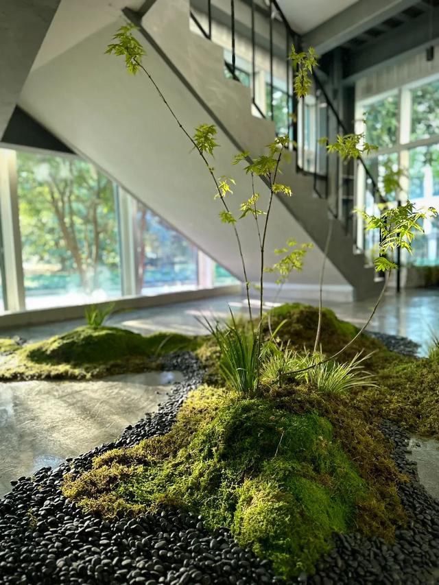 她在上海中山公园打造500平方米花植空间,验证"场景,体验,服务"是行业