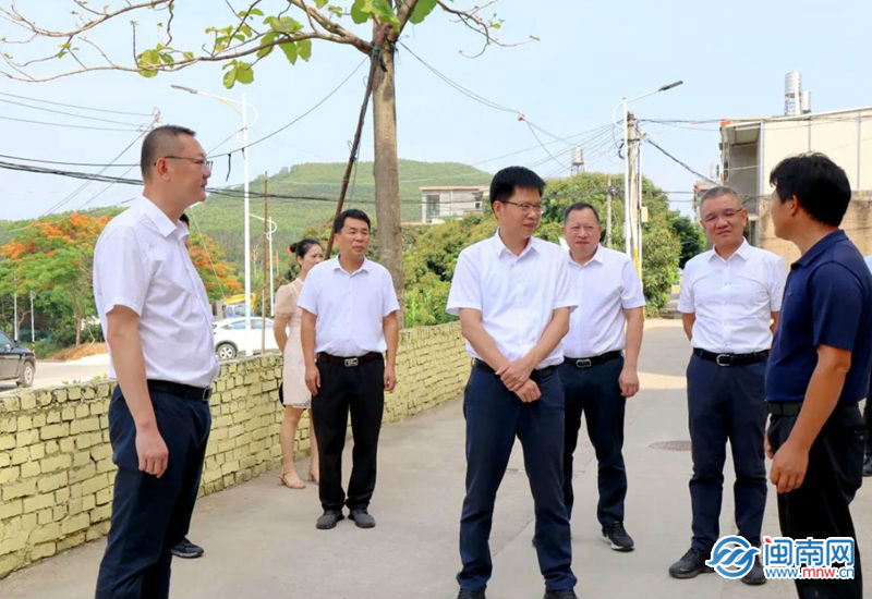 云霄县委书记到陈岱镇调研