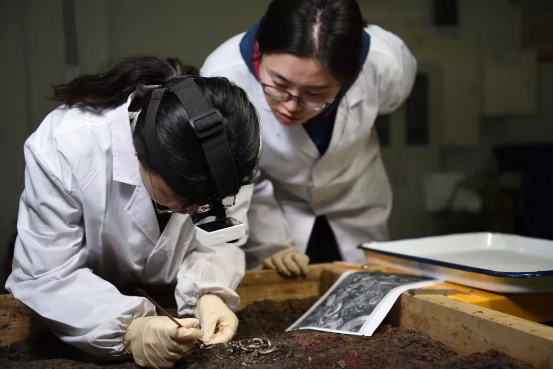 高考状元报考北大冷门专业,惹来争议,现被宠成考古界团宠