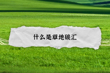 什么是草地碳汇(知识分享)