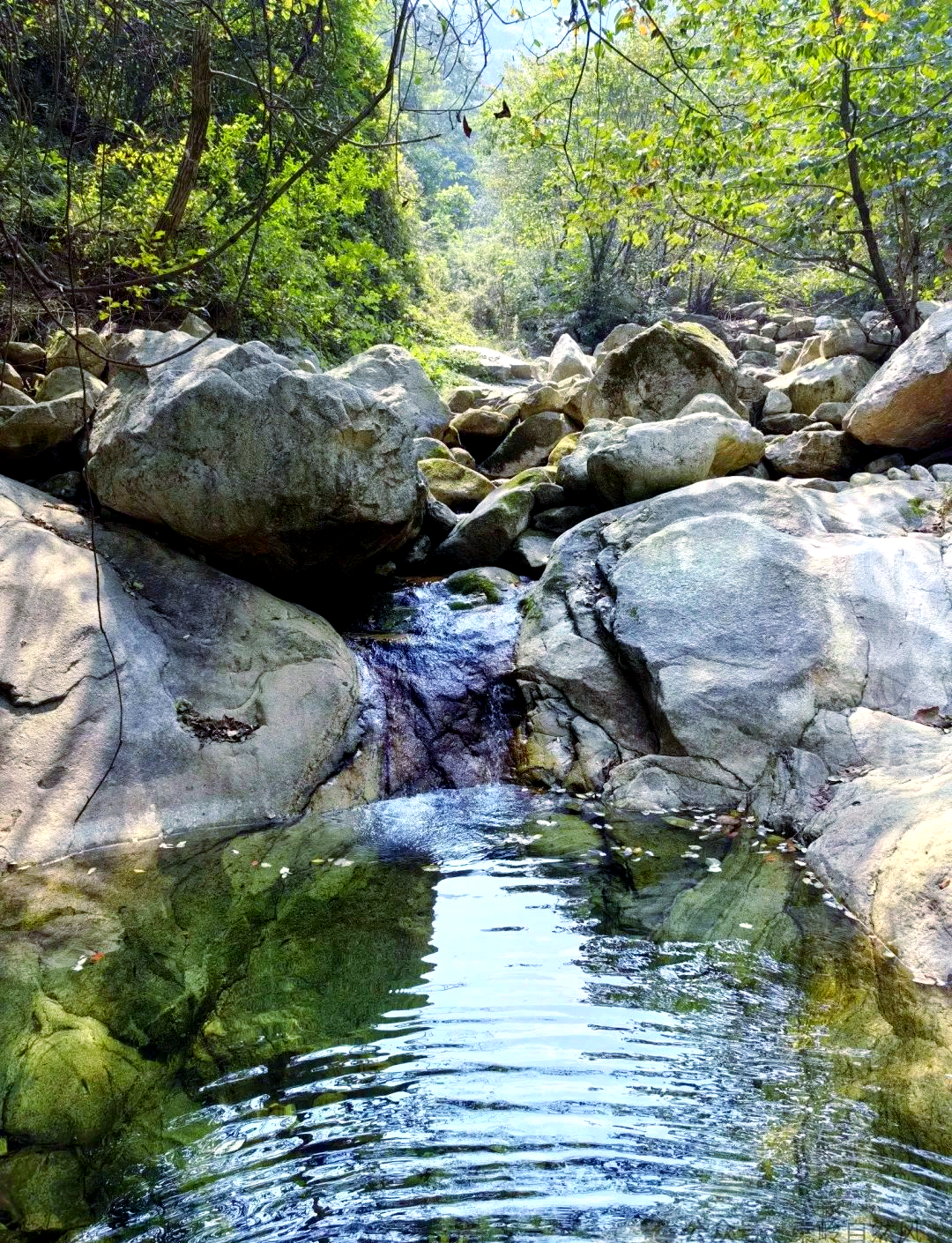 秦岭紫阁峪探秘:千年古塔与摩崖石刻的传奇之旅