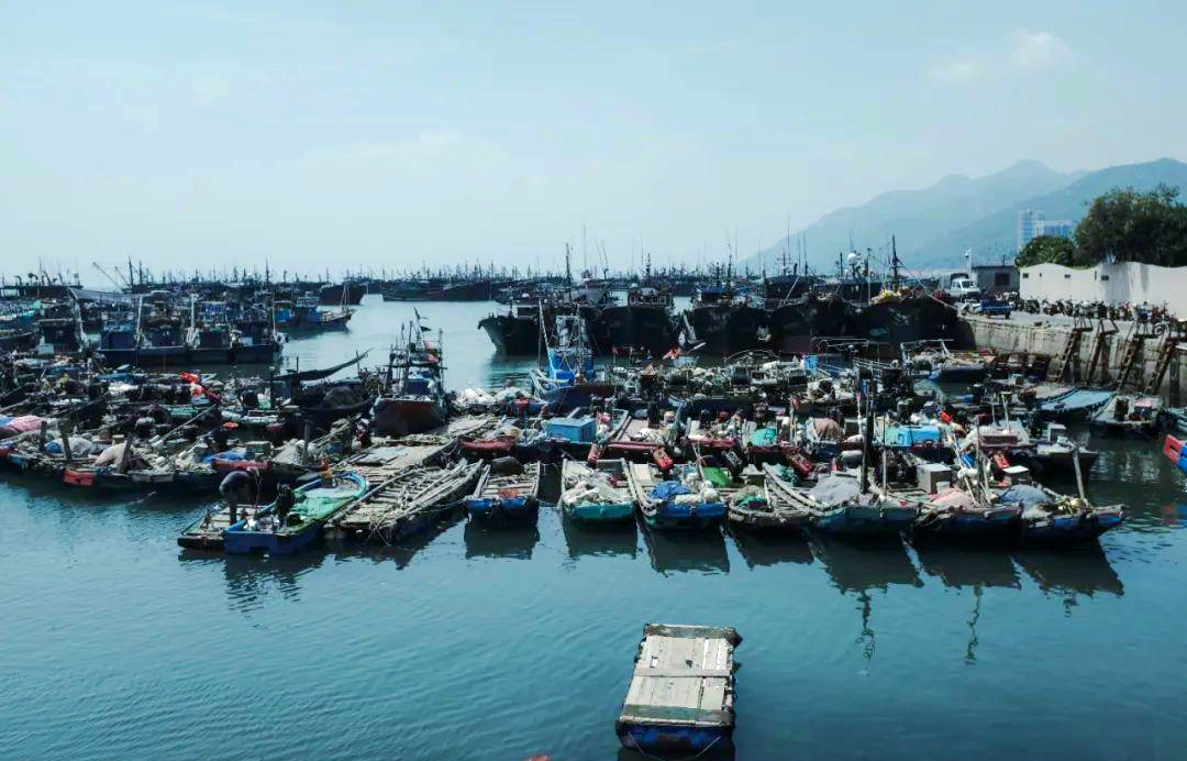 南澳岛的魅力探索:从渡轮到渔港的宁静之旅