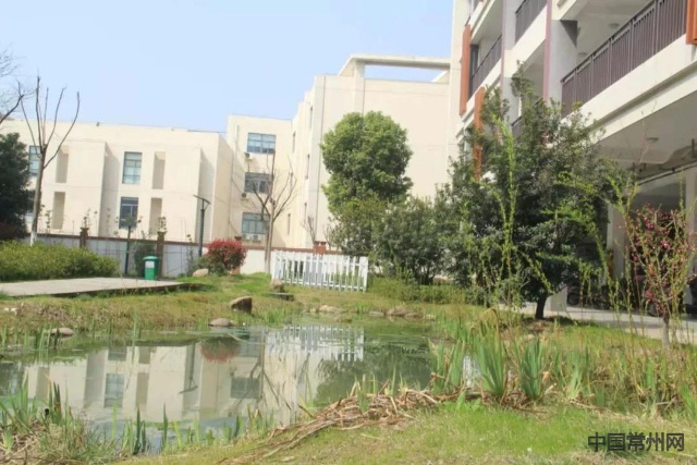 虹景中学今年秋学期招生 翠竹中学新校区同期投用