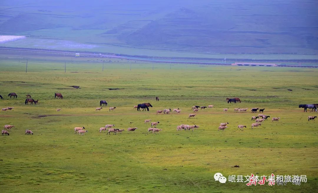 岷县:狼渡滩湿地草原风光美