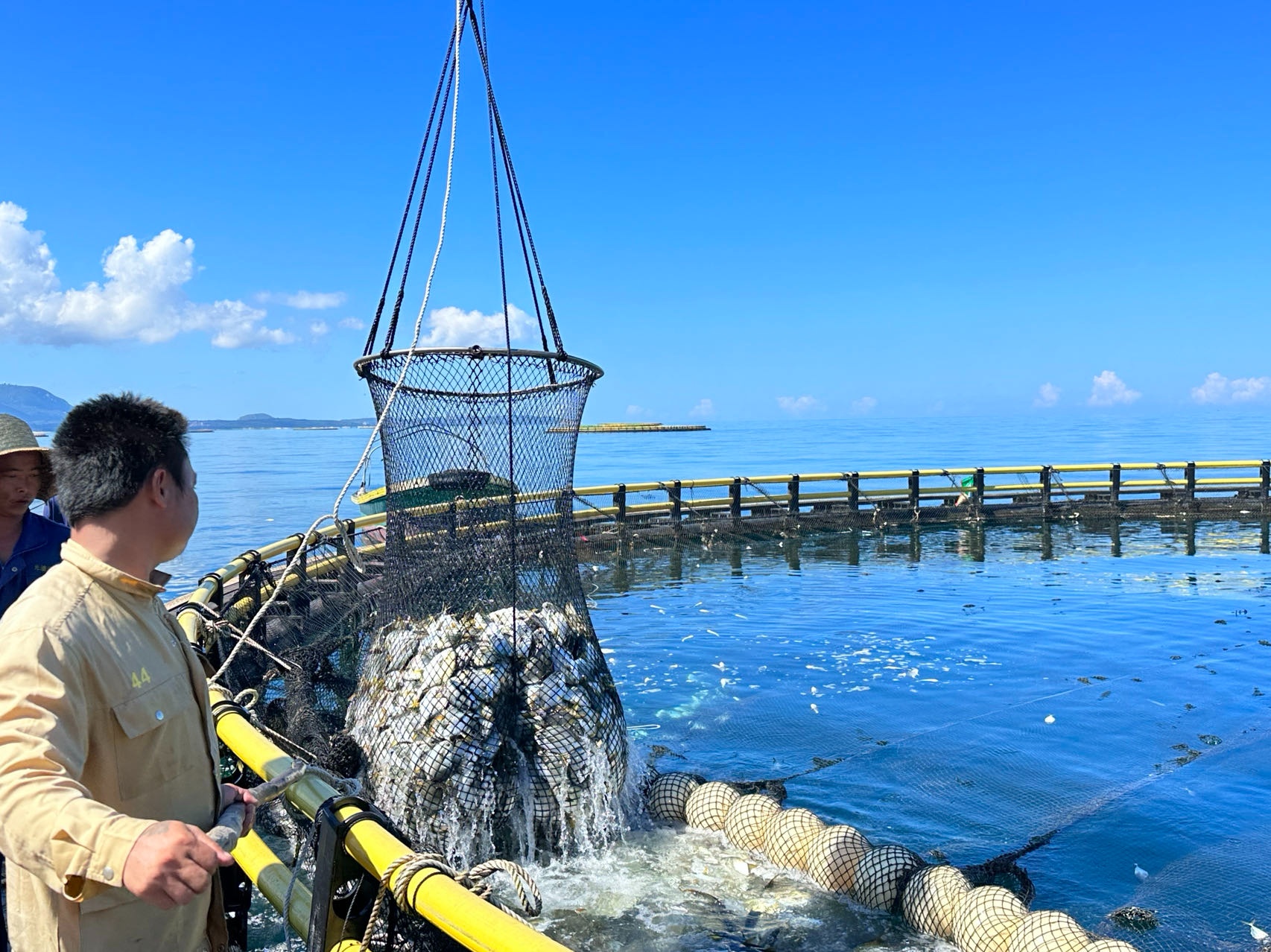 2024年如何推动现代农业高质量发展?种业振兴是首要