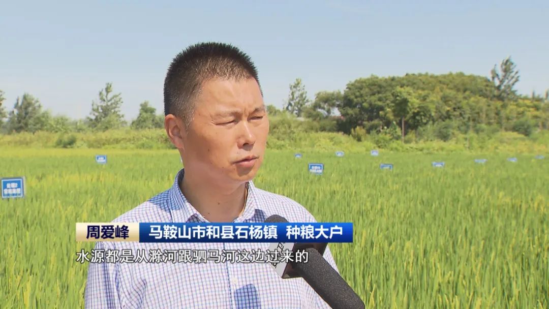 高温持续 各地科学调度水源积极抗旱