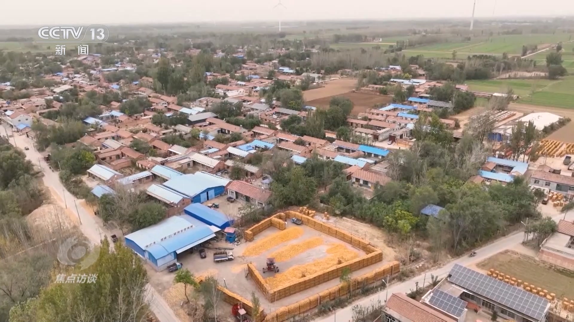 焦点访谈:科技赋能 颗粒归仓