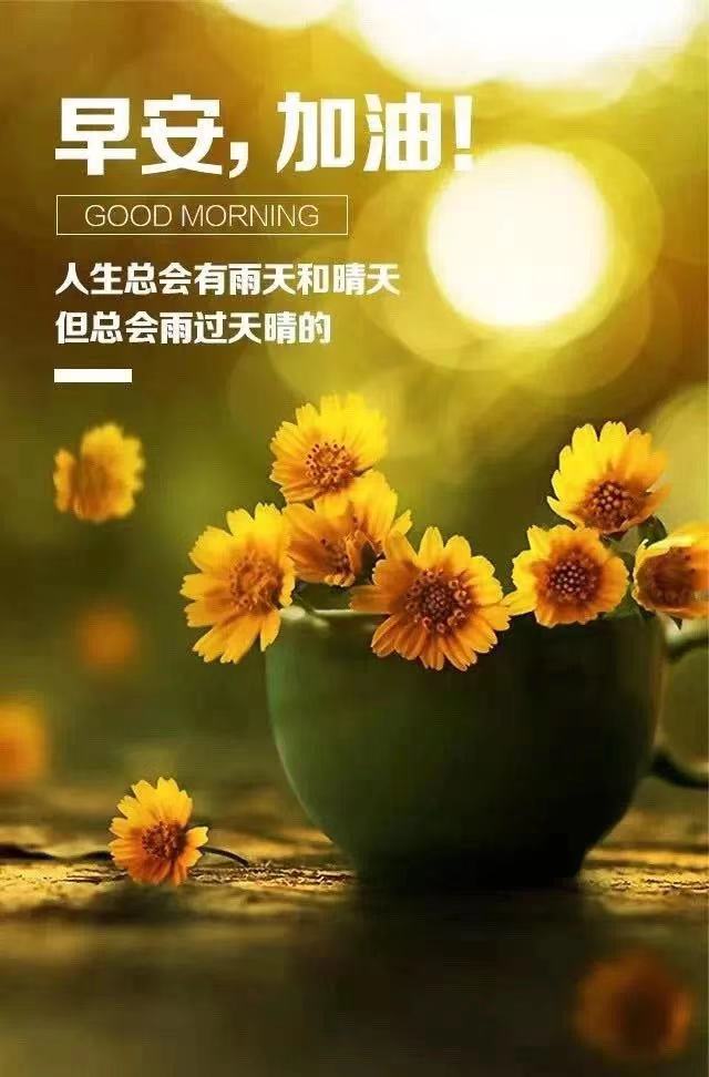 清晨发朋友圈配图图片