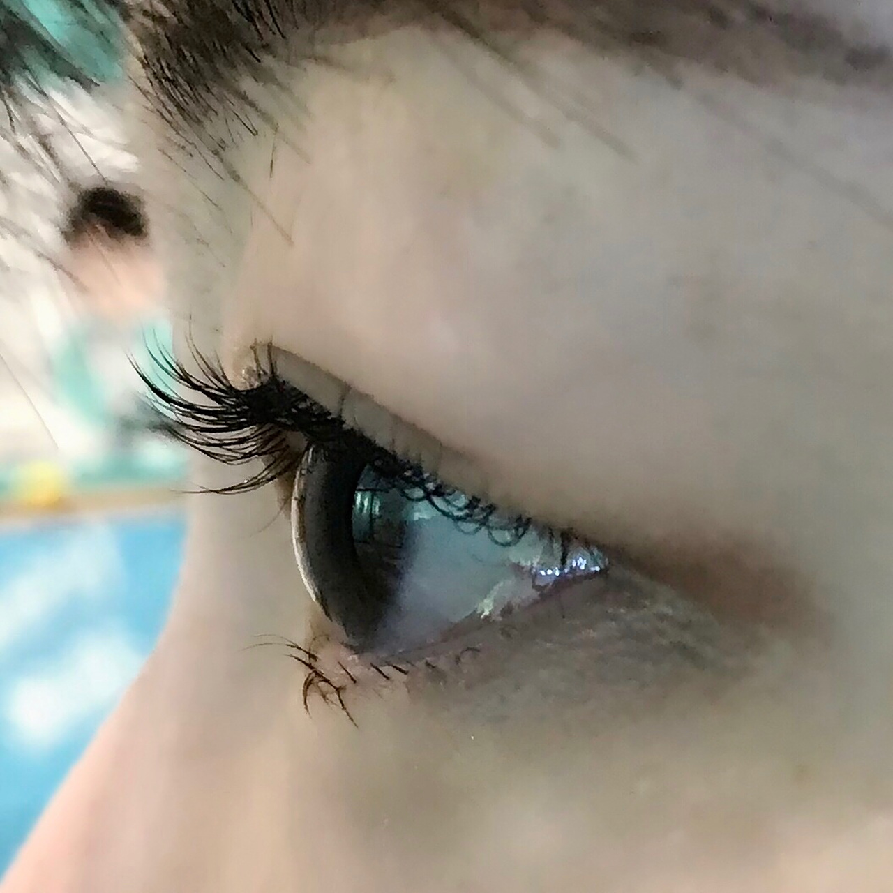 丰添睫毛滋养修护精华液8ml纤长睫毛膏自然浓密眼睫毛正品    在直播