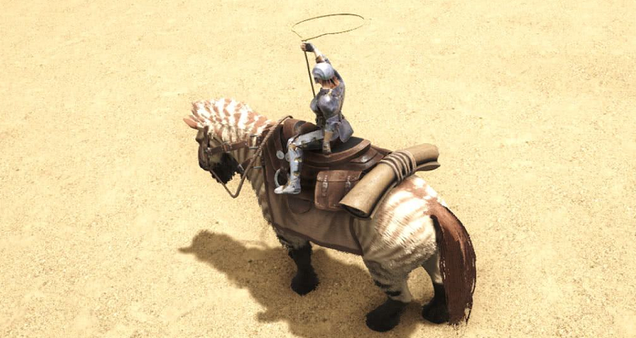 equus saddle是什么鞍