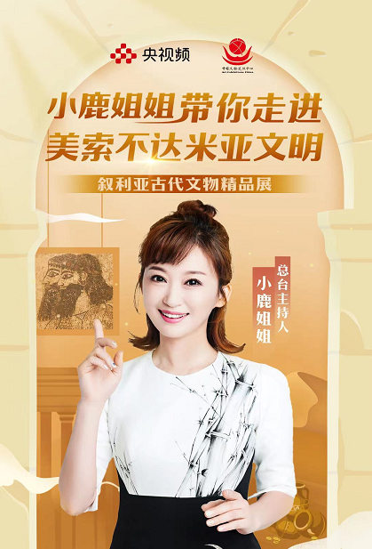 小鹿姐姐:功底扎实敢跨界,入职25年后成功转型为社会新闻主持人