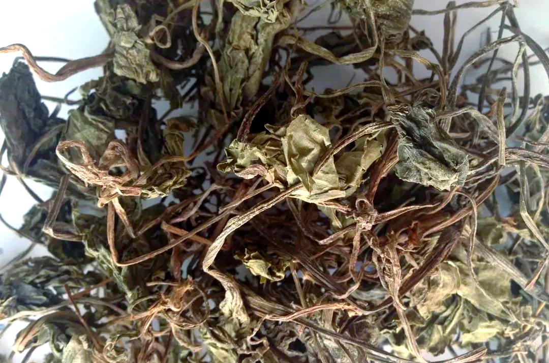 中药材青天葵的详细介绍与多种用途