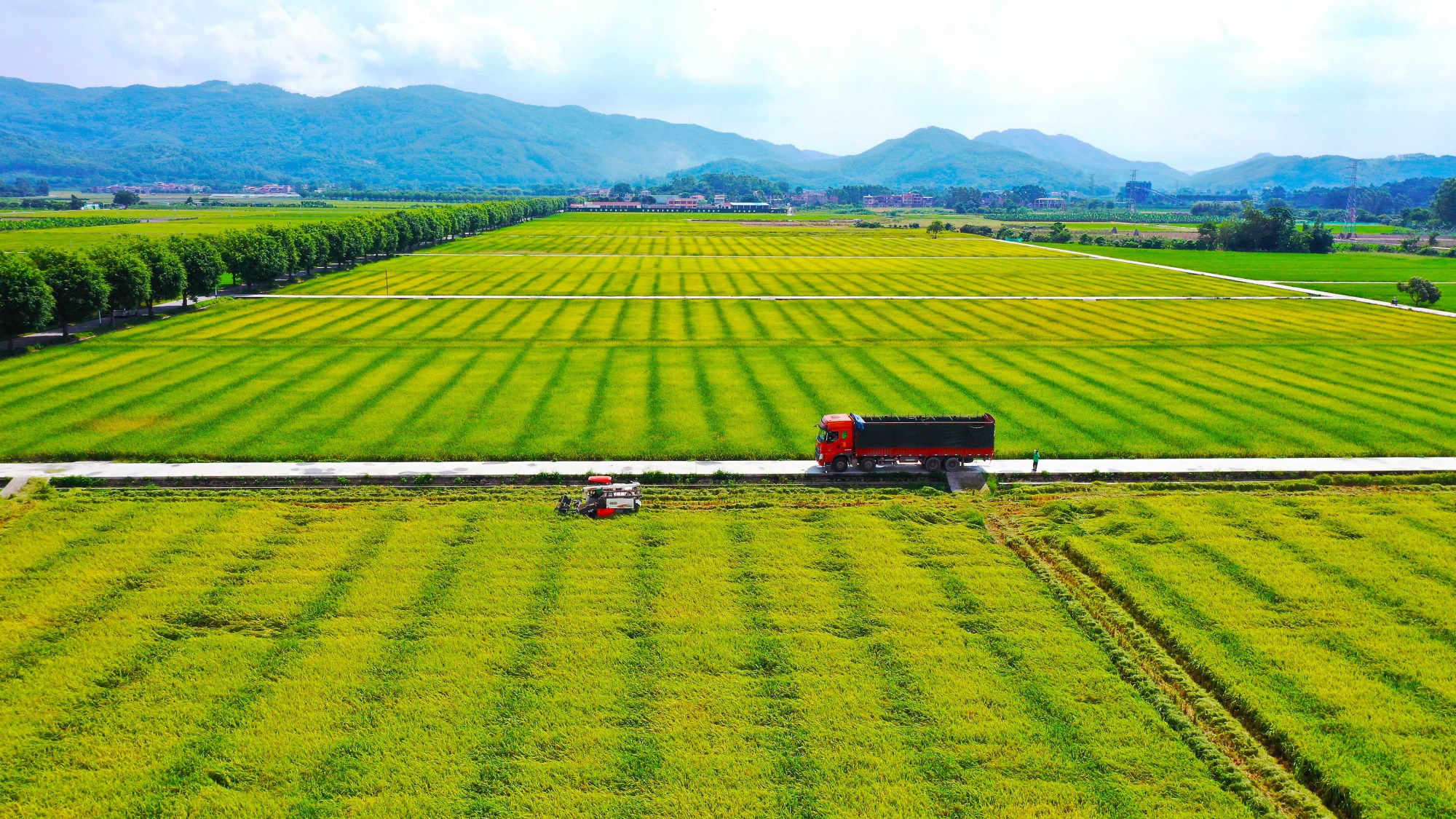 广州增城大力发展现代农业产业园,促进农业高质高效发展