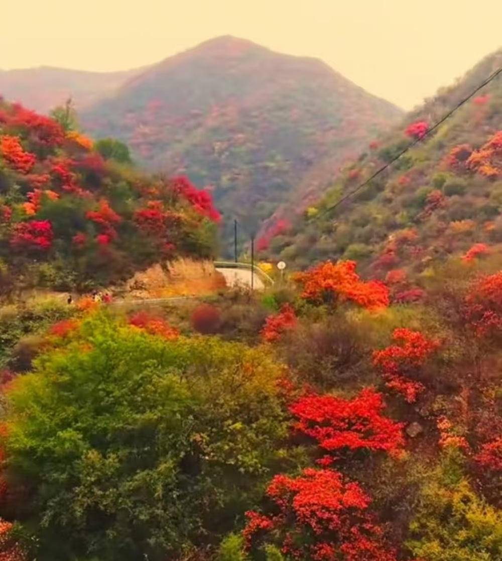 旅游天地|深秋里去绛县紫家峪西峪村赏红叶