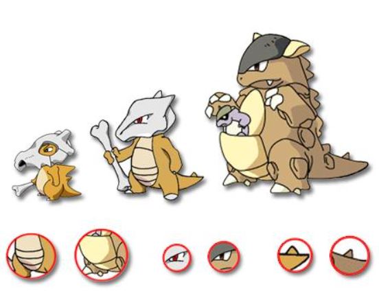 精灵宝可梦:卡拉卡拉和袋兽到底啥关系?种种证据表明它们是母子