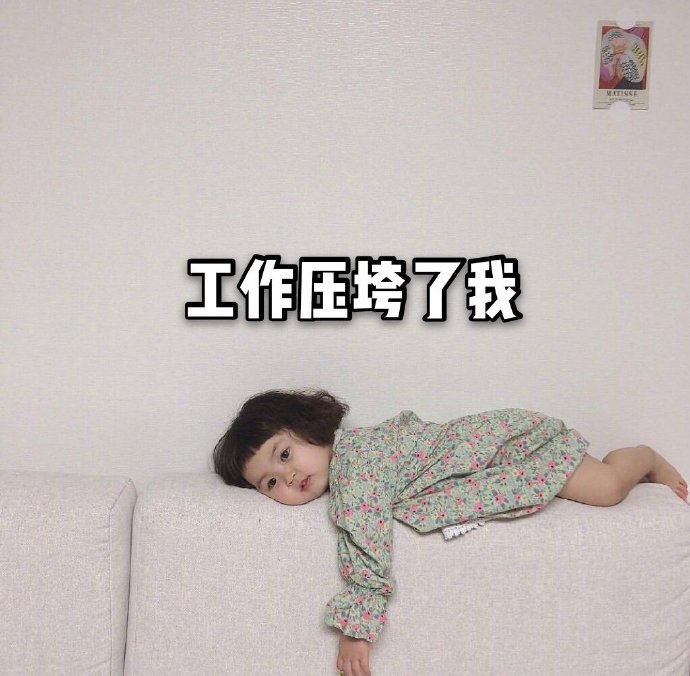 表情包年度总结「金馆长表情包」