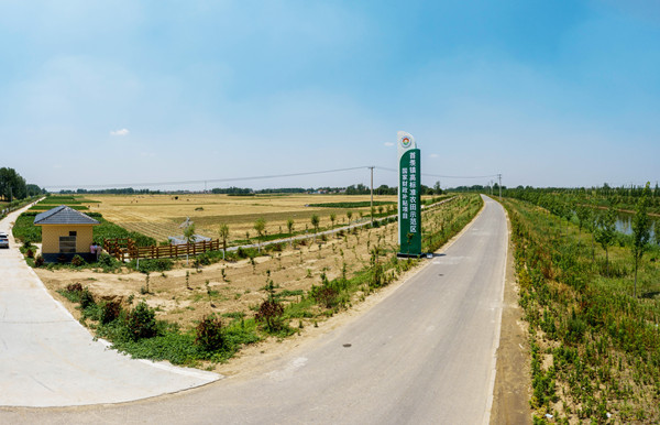 丰县首羡镇:人大代表"亮身份" 汇聚民意促发展