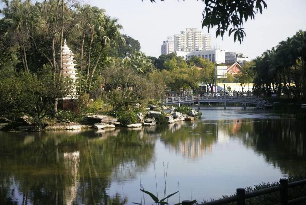 【全域旅游】北园公园新玩法,解锁!