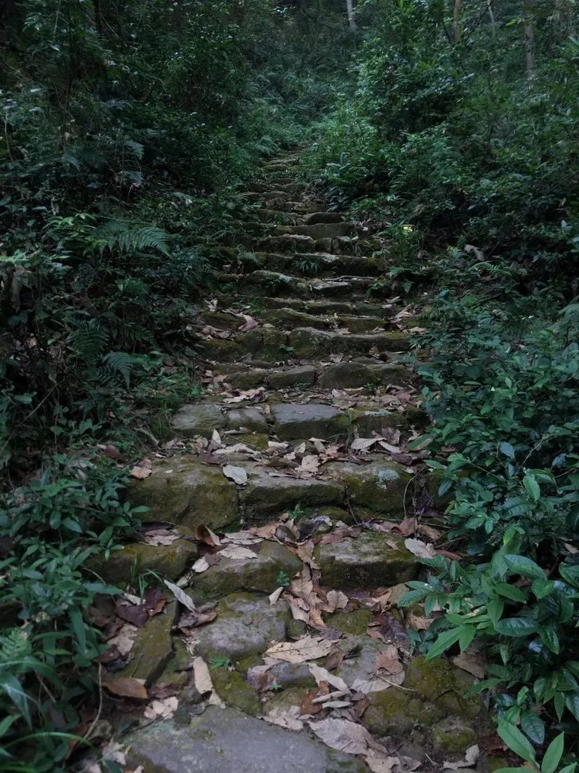 清凉一"夏",义乌这10处古道你都去过了吗?