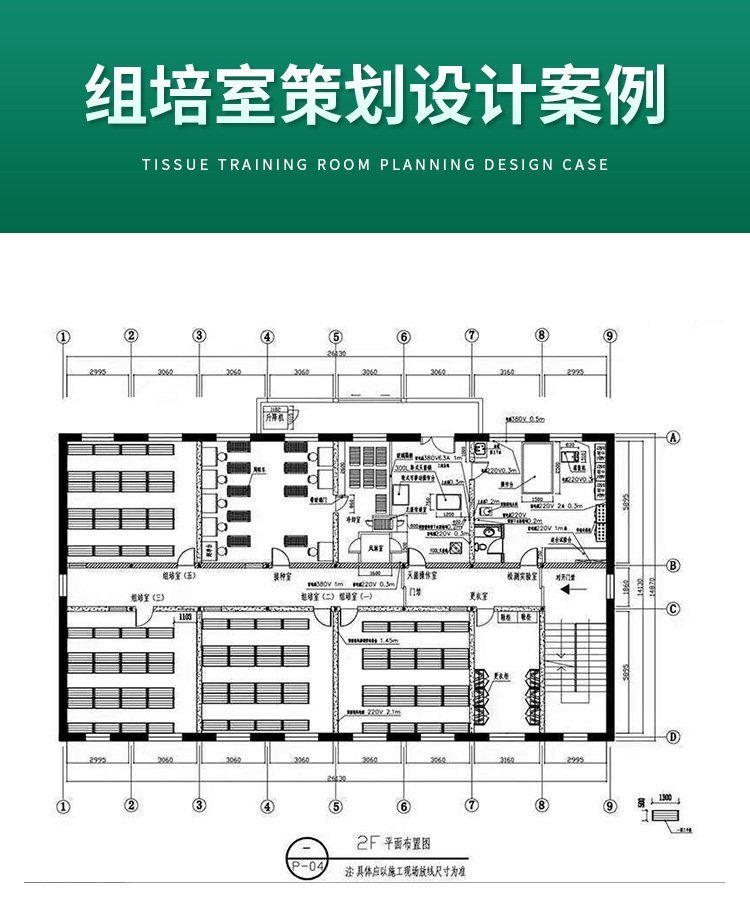 组培室是什么?组培室建设都需要规划哪些实验室?