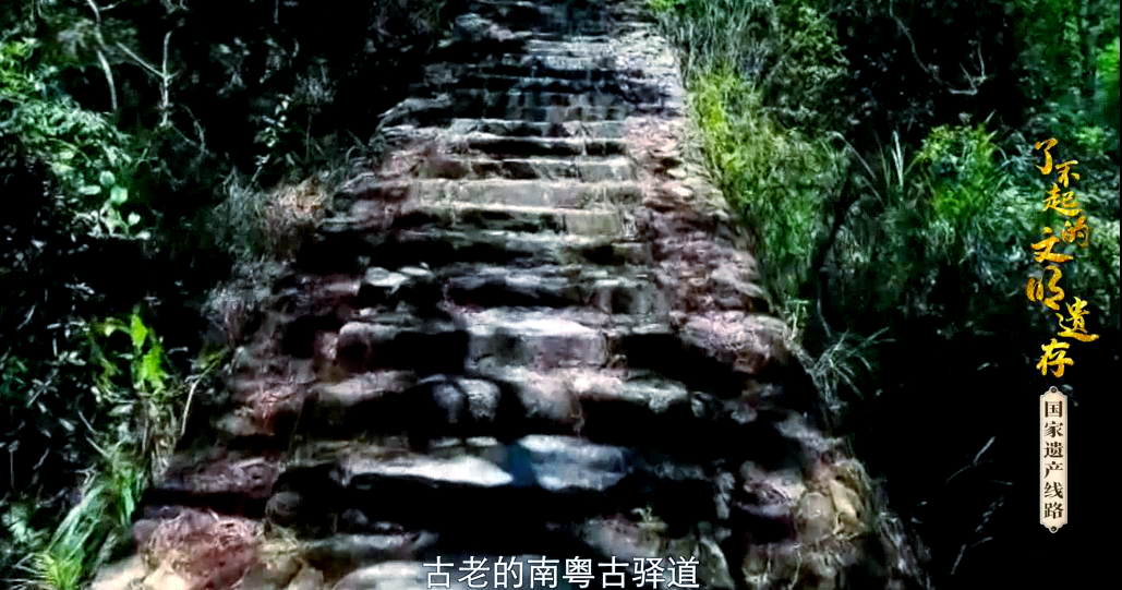 南粤古驿道:历史,文化与自然的和谐共鸣