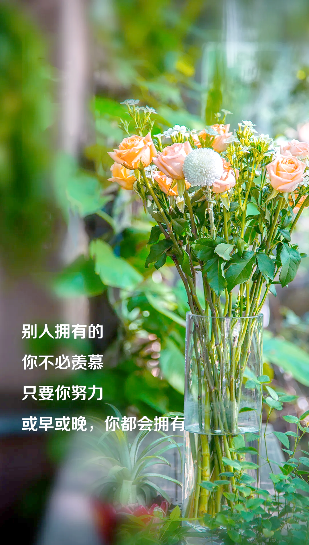 美好的一天正能量句子发朋友圈句子(新的一天高情商的句子)