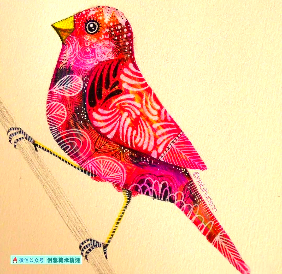 飞鸟集——众多独特的鸟类主题创意插画