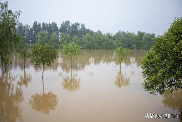 承担泄洪任务之后的滑县卫河,想不到是这个样子