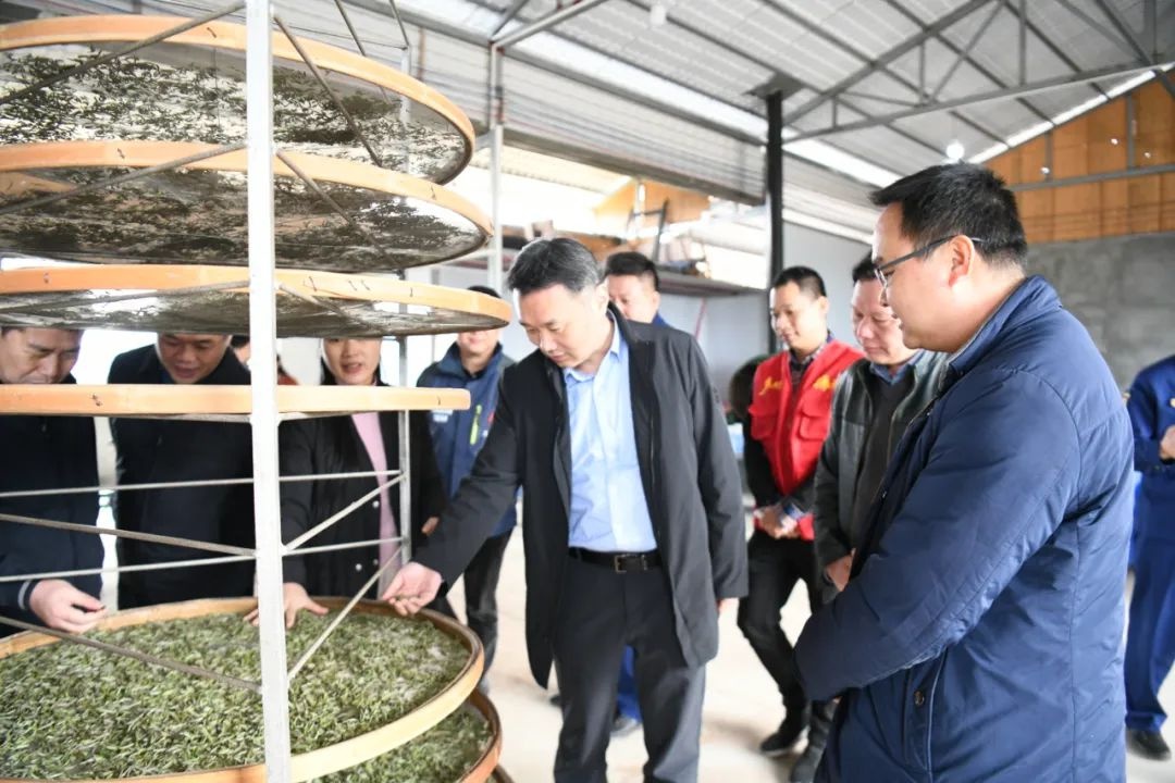 县委书记雷陈率队到马堤乡调研