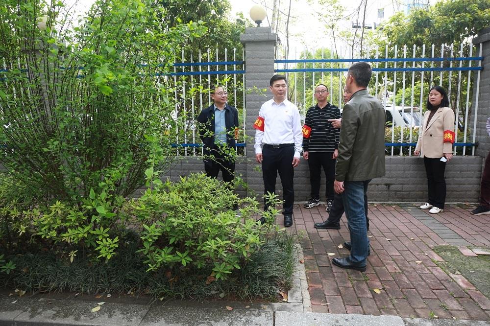 新田:唐清林带队督导检查"巩卫创文"工作