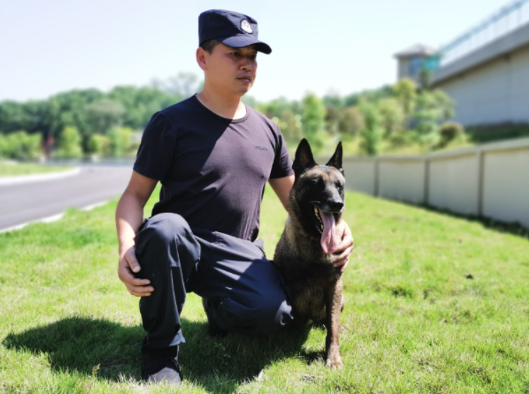 从军人到警犬训导员,部队作风是他的标签——刑侦支队最美辅警张维