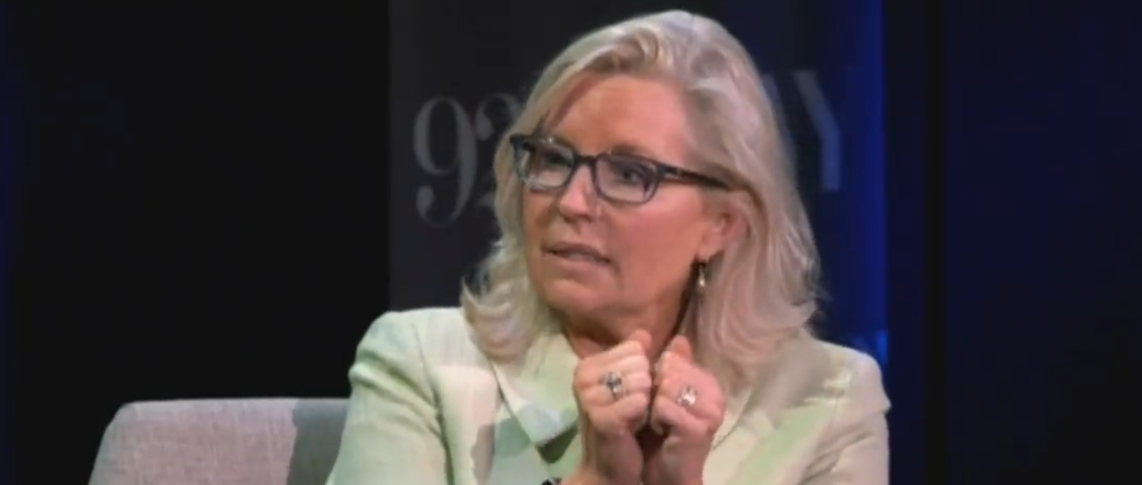 莉兹·切尼:美国政治所创造的局面是,我们在选举傻瓜