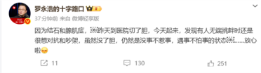 罗永浩：我把胆切了